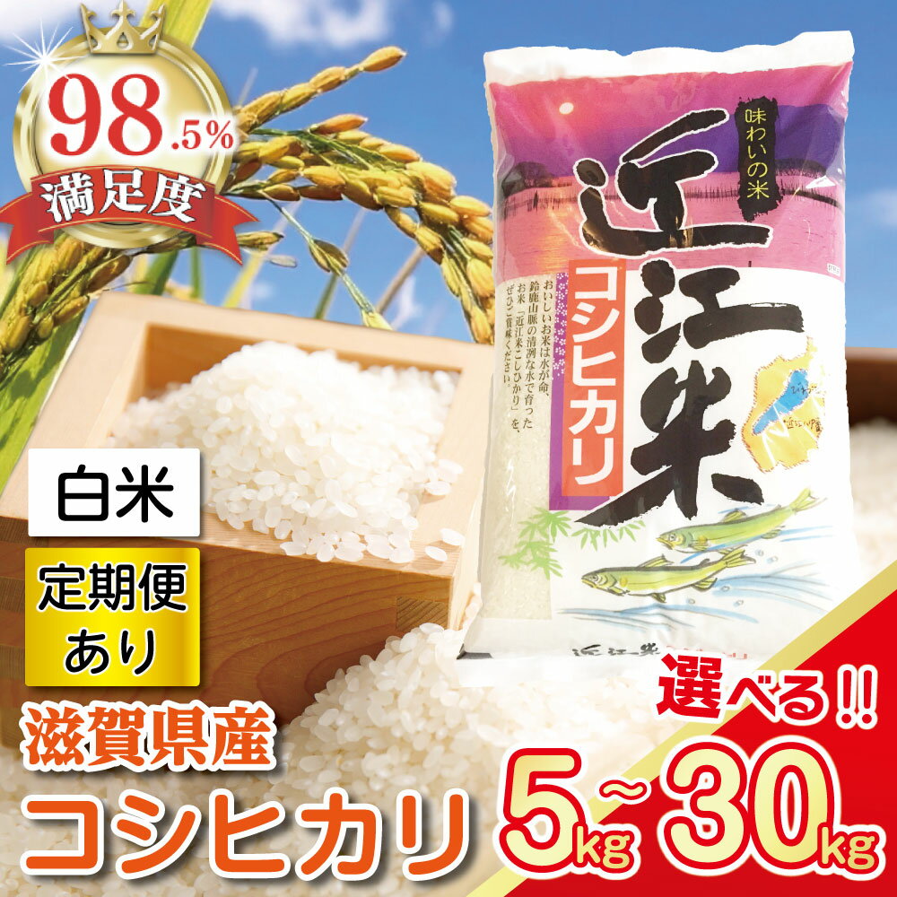 【ふるさと納税】【令和7年産】近江米 こしひかり コシヒカリ 5キロ / 10キロ / 10キロ×3回 計30キロ 選べる定期便 国産 滋賀県産 白米 精米 お米 とらわか