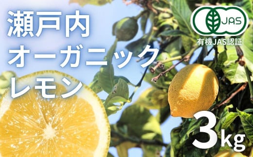 [予約] 1〜2月発送 瀬戸内オーガニックレモン 約3kg(24〜30個程度) 有機JAS認証 国産 せとうち 広島 大崎上島 離島 有機栽培 柑橘 果物 オーガニック フルーツ ギフト 防腐剤不使用 ワックス不使用 無添加 安全 安心 送料無料 産地直送 中原観光農園