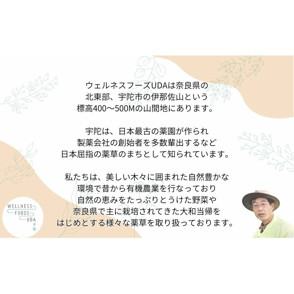 大和当帰 入浴剤 25包（1袋 5包入×5個) /ウェルネスフーズ UDA ふるさと納税 無添加 有機栽培 おすすめ リラックス ストレス解消 ボディケア 肌荒れ 改善 疲労回復 送料無料 奈良 宇陀