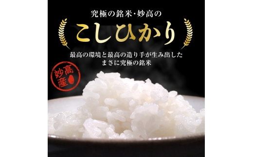【2026年10月中旬発送】【毎月定期便】令和8年産 新潟県妙高産コシヒカリ2kg×6回（計12kg）