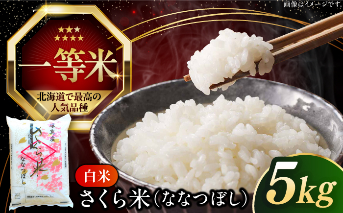 
            【25年7月下旬発送!】【令和6年産】【特A】一等米 さくら米（ななつぼし）5kg《厚真町》【とまこまい広域農業協同組合】  米 お米 白米 ななつぼし 特A 一等米 北海道[AXAB061]
          
