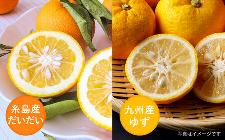 糸島産だいだいとゆずのお酒 500ml×4本セット 糸島市 / 山口食品工業株式会社[ABI003]