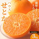 【ふるさと納税】 せとか 阪口農園の ハウスせとか 3kg (2L〜3L 9玉〜12玉) 【2025年2月中旬から3月中旬までに順次発送】 みかん ミカン 蜜柑 柑橘 果物 くだもの フルーツ 予約 人気 ジューシー 甘い 産地直送 送料無料