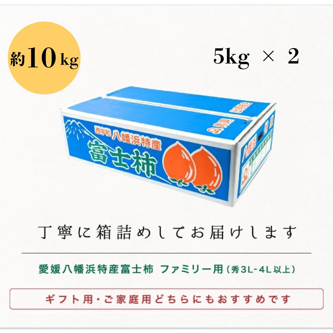 《八幡浜特産 国内最大級の 柿》 富士柿 10kg (5kg×2箱)種無し【H20-37】【1594879】 YWTI032