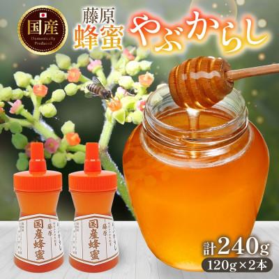 ふるさと納税 盛岡市 藤原国産蜂蜜 やぶからし 計240g 完熟 単花蜜 藤原養蜂場 岩手県盛岡市