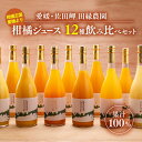 【ふるさと納税】【数量限定】【愛媛県産】田縁農園の無添加100% 12種セット（温州みかん,清見タンゴール,伊予柑,河内晩柑,ぽんかん,ニューサマーオレンジ,せとか,ひょうかん,不知火,かんぺい,紅まどんな,あいおとめ,シトラスミックス）