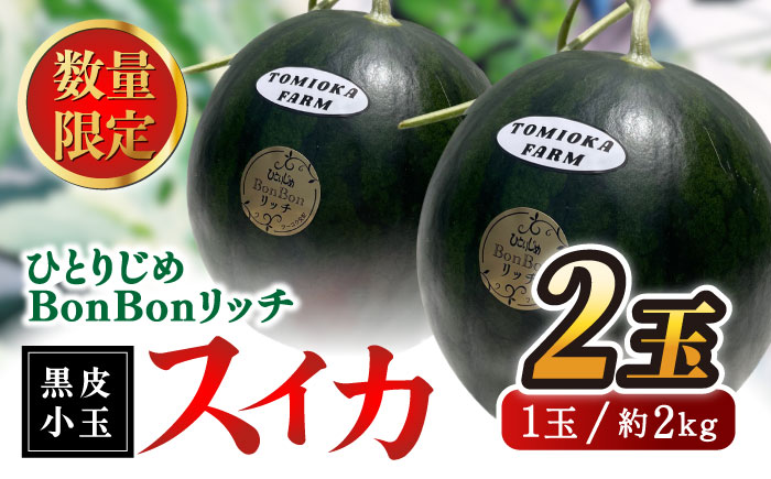 【先行予約】ひとりじめBonBonリッチ～黒皮小玉 スイカ 2玉～【とみおか農園】 [ZEM002]