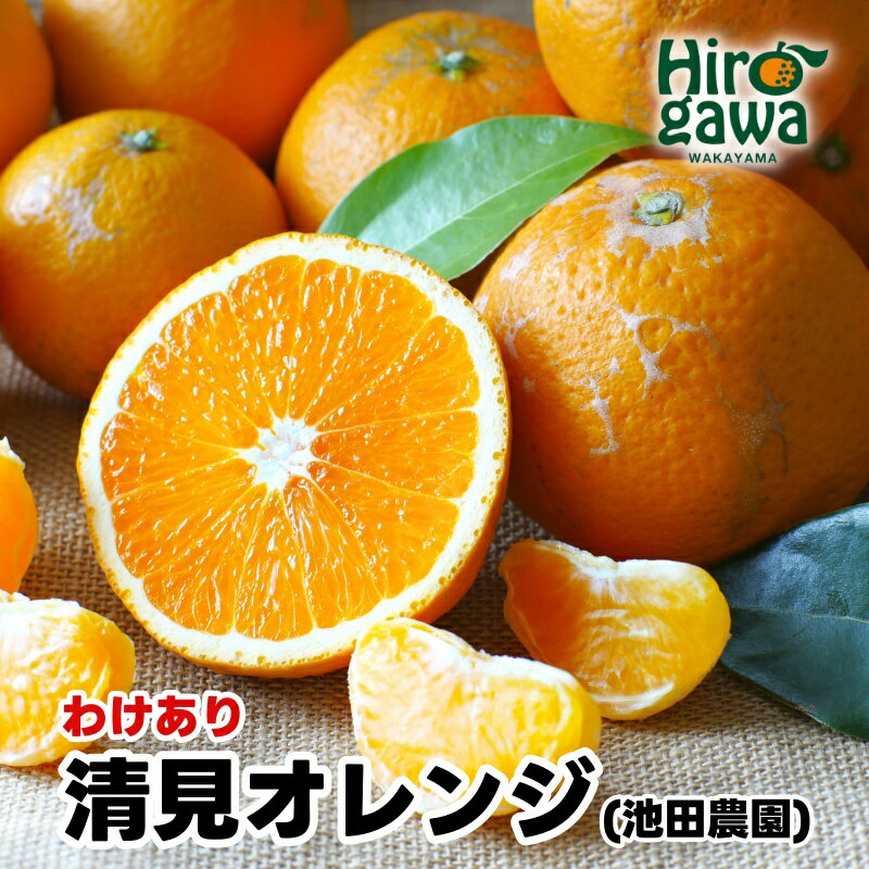家庭用清見オレンジ【光センサー食頃出荷】【樹上完熟きよみオレンジ・清見タンゴール・清美】【わけあり・訳あり】 ※2024年2月上旬〜4月上旬頃に順次発送予定 ※北海道・沖縄・離島への配送不可 //dekopon