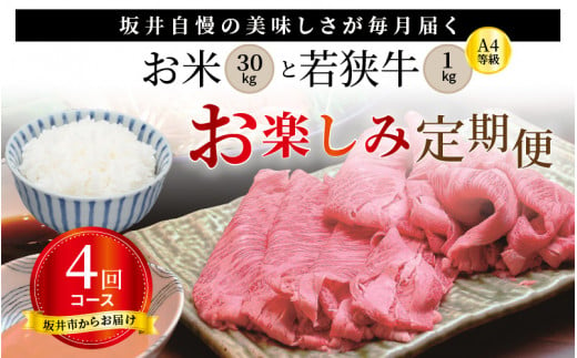 
【定期便 4回コース】 坂井市産コシヒカリ 計30㎏ ＋ 若狭牛A4等級 計1㎏ （すき焼き500ｇ 焼肉500ｇ） [G-3251]
