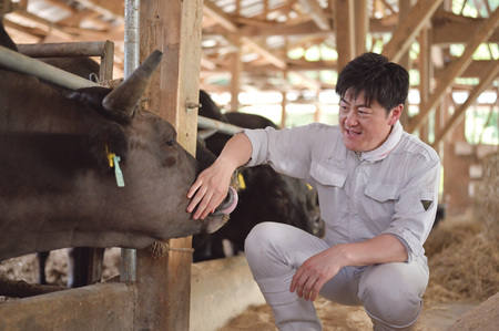 新発田牛ロース 1kg すき焼き しゃぶしゃぶ 牛ロース 牛ロース 牛ロース 牛ロース 牛ロース 牛ロース H13