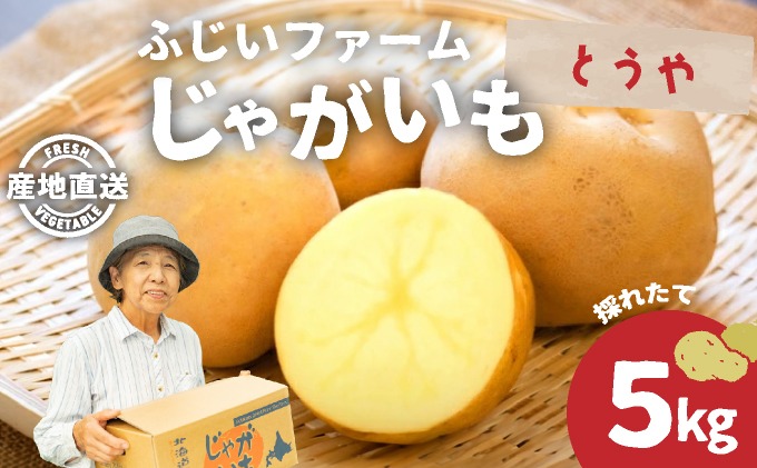 北海道産 じゃがいも とうや 約5kg ジャガイモ 馬鈴薯 ポテト 芋 イモ 先行受付 産地直送 国産 野菜 農作物 甘い ホクホク しっとり 煮物 カレー 肉じゃが 人気 ふじいファーム  送料無料