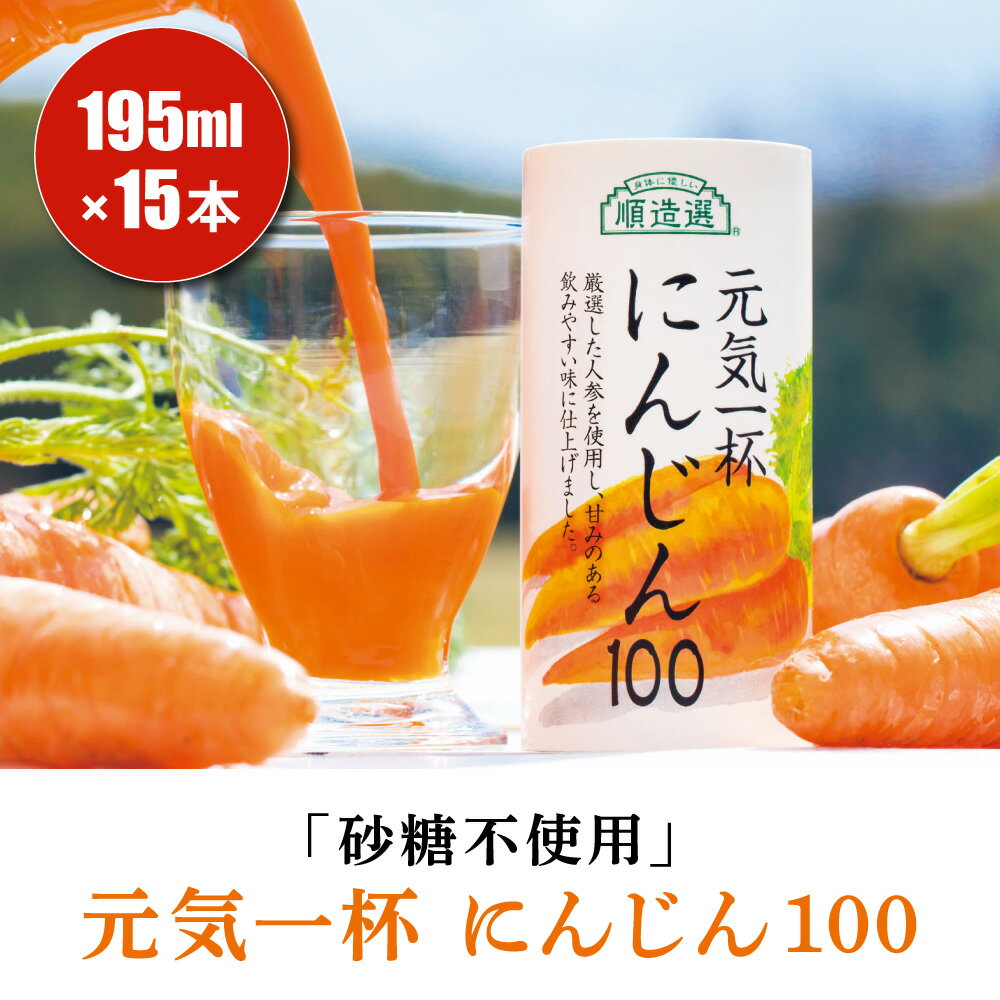 【ふるさと納税】砂糖不使用 果汁100% 元気一杯 にんじん100 195g×15本 順造選｜お中元 のし 熨斗 無添加 無塩 健康 にんじん リンゴ ジュース ドリンク カロテン 長期保存 袖ケ浦 千葉 [0284-0284c1]