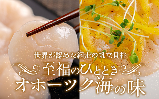 北海道オホーツク産 冷凍帆立貝柱 21玉～25玉 500g×2【 ふるさと納税 人気 おすすめ ランキング ホタテ ほたて 帆立 貝柱 ホタテ貝柱 ほたて貝柱 帆立貝柱 刺身 ホタテ刺身 刺身ホタテ 