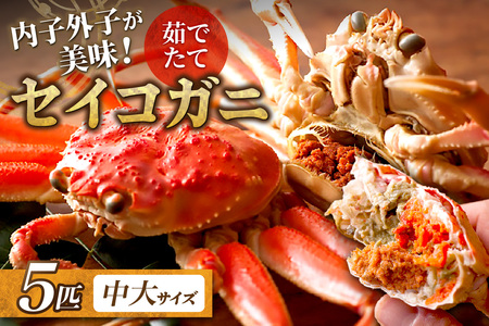 【蟹の匠 魚政】内子外子が美味! 茹でたて セイコガニ（セコ蟹）（香箱ガニ）（こっぺ）中大サイズ 5匹セット　ボイル蟹・香箱蟹・セイコ蟹・セコガニ