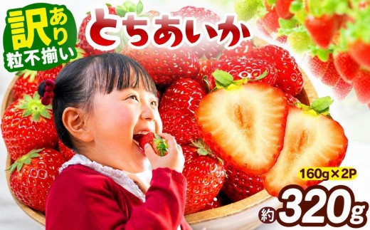 訳あり 粒不揃い とちあいか 320g (160g×2P) 【2027年先行予約】 いちご 苺 | 栃木県 矢板市