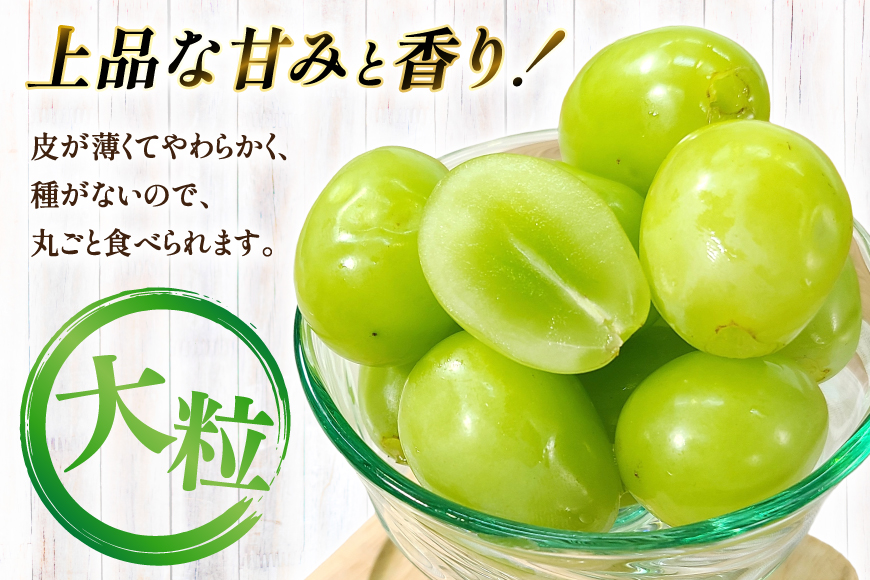 【期間限定発送】 シャインマスカット 秀 2房 約 1.4kg [もん前の里 山形県 高畠町 tk06ays960004] フルーツ 果物 くだもの ぶどう ブドウ 葡萄 1.4キロ 甘い