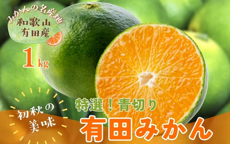 
            【先行予約】【2025年9月中旬～10月中旬頃発送予定】【初秋の美味】【農家直送】特選!青切り有田みかん　1kg【ard232】
          