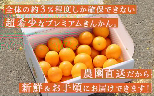 KU445 ＜先行予約＞【プレミアム】選りすぐりの大玉完熟きんかん１kg【玉様ファーム】