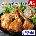 【ふるさと納税】【6ヶ月定期便】宮崎 手羽ぎょうざ 16本 (1kg) - 鶏肉 鳥 手羽先 手羽 餃子 ぎょうざ ギョーザ おつまみ 送料無料 E7214t6