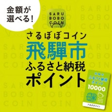 さるぼぼコイン 飛騨市ふるさと納税ポイント 3,000pt