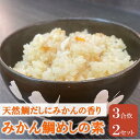 【ふるさと納税】鯛めし 愛媛 みかん鯛めしの素 3合炊き2パック 魚屋さんが作った 自家製 吉井鮮魚 | B373