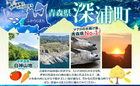 つるつる わかめ 塩わかめ セット 小分け 麺つゆ 青じそ 塩蔵わかめ 茎付 ヘルシー 海藻 わかめ麺 ワカメ 麺類 つるっと 冷蔵 海産物 ふかうら食品 深浦町 青森県
