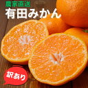 【ふるさと納税】 有田みかん 5kg 7.5kg 10kg 農家直送 訳あり ご家庭用 サイズ混合 6000円 8000円 10000円 光センサー選別 ※11月中旬～1月中旬に順次発送予定 ※北海道・沖縄・離島への配送不可 / 温州みかん みかん 訳あり わけあり 家庭用 //mandarin