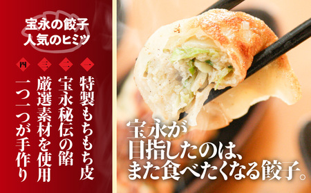 宝永オリジナル餃子セット【宝永餃子500g×5袋】餃子 冷凍 お取り寄せ 苫小牧市 北海道