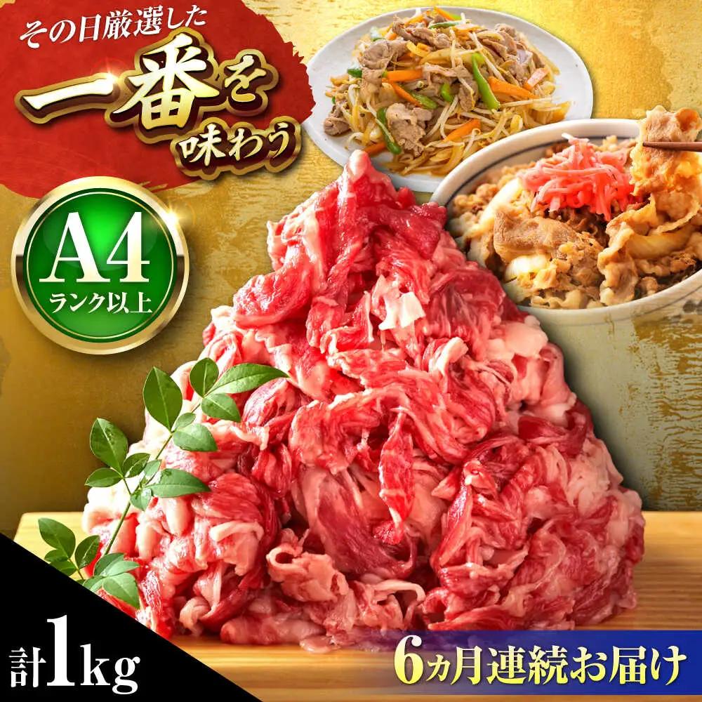 【全6回定期便】【A4-A5】博多和牛 切り落とし 1kg(500g×2P)[BGAB102] 定期便