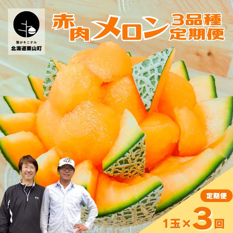 【ふるさと納税】【先行予約】北海道産赤肉メロン3種定期便（1玉×3回）