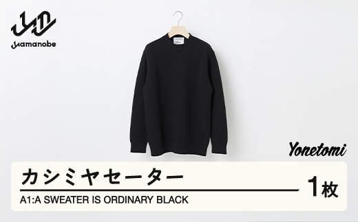 
A1 : A SWEATER IS ORDINARY BLACK ブラック カシミヤセーター 服 洋服 ユニセックス メンズ レディース ブランド 数量限定 山形県 山辺町 yt-soxxk
