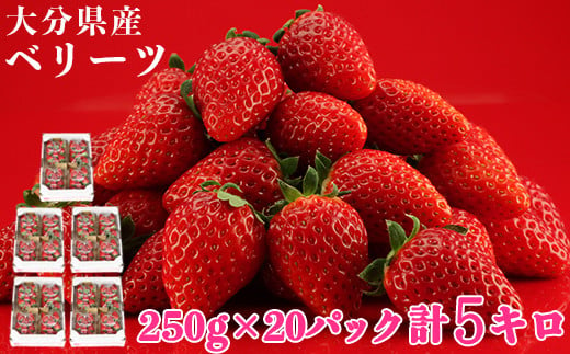 
            大分県産 ベリーツ 約5kg（約250g×20パック）／ いちご イチゴ 5kg 先行予約 1月 2月 甘い フルーツ 苺 スイーツ ＜133-002_5＞
          