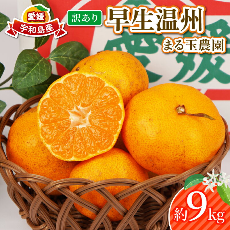 【ふるさと納税】 訳あり 早生温州 9kg まる玉農園 早生 みかん 温州みかん 早生みかん 温州 蜜柑 mikan 愛媛みかん 愛媛蜜柑 愛媛ミカン 果物 くだもの フルーツ おすすめ 人気 訳アリ わけあり 柑橘 農家直送 産地直送 数量限定 先行予約 国産 愛媛 宇和島 B010-172004