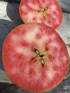 赤果肉 りんご なかののきらめき 約2.5kg 【012-72】