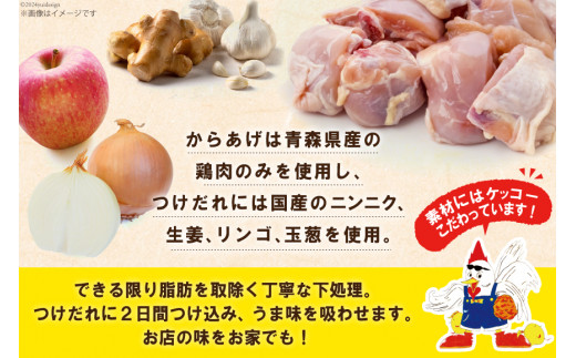 唐揚げ ごちから カレー味 300gx3袋(計900g) [からあげ専門店おっSAMA 石川県 宝達志水町 38600909] からあげ から揚げ 冷凍食品 揚げ物 おかず お弁当 惣菜 大容量 冷凍