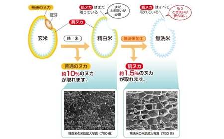 子育て応援米 【令和7年産】 奈義町産米 BG無洗米 コシヒカリ 10kg （5kg×2袋） 【窒素充填包装】 【2025年10月上旬より順次発送開始】 10キロ こしひかり お米 米 無精米 国産 