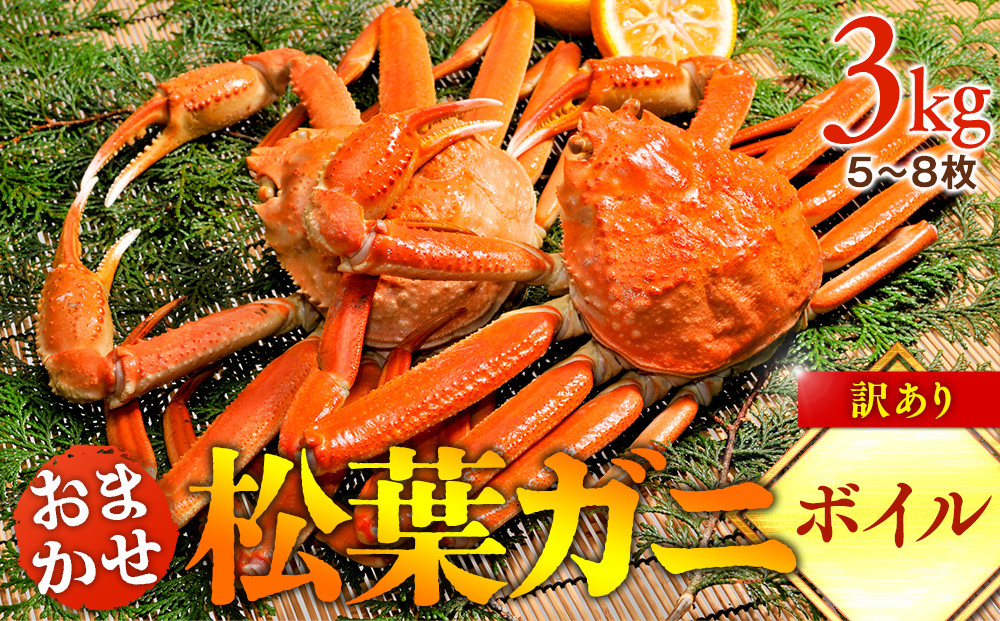 【ボイル】訳あり 松葉ガニおまかせ3kg（5～8枚） 蟹 ※2025年11月上旬～2026年3月下旬頃に順次発送予定※着日指定不可