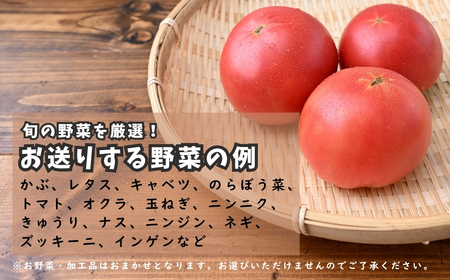 野菜 季節の詰合せセット 7~10品 | 野菜 詰合せ
