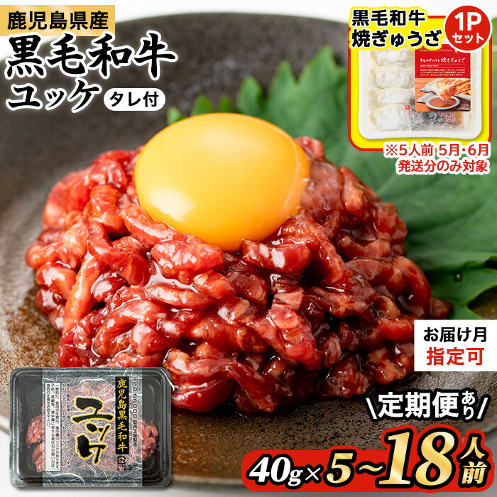 鹿児島県産黒毛和牛ユッケ6人前(40g×6P・計240g)生食だからこそ感じる肉の旨み！【カミチク】