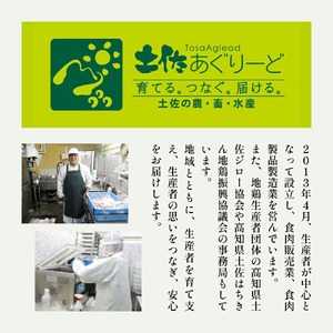 【 鶏肉 定期便12回 】 鶏肉 もも肉 カット済み500g ag42