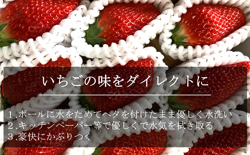 特大いちご(章姫)　360g以上(7〜9粒、1粒40g以上)×2箱 ・O044-19／オオダケイチゴ 