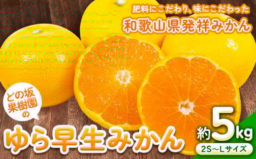＜みかん先行予約＞ゆら早生 みかん 約 5kg (2S～Lサイズ) どの坂果樹園《2025年10月中旬-12月上旬頃出荷予定》 和歌山県 日高町 みかん ゆら早生 旬 柑橘 フルーツ 果物 ミカン 蜜柑