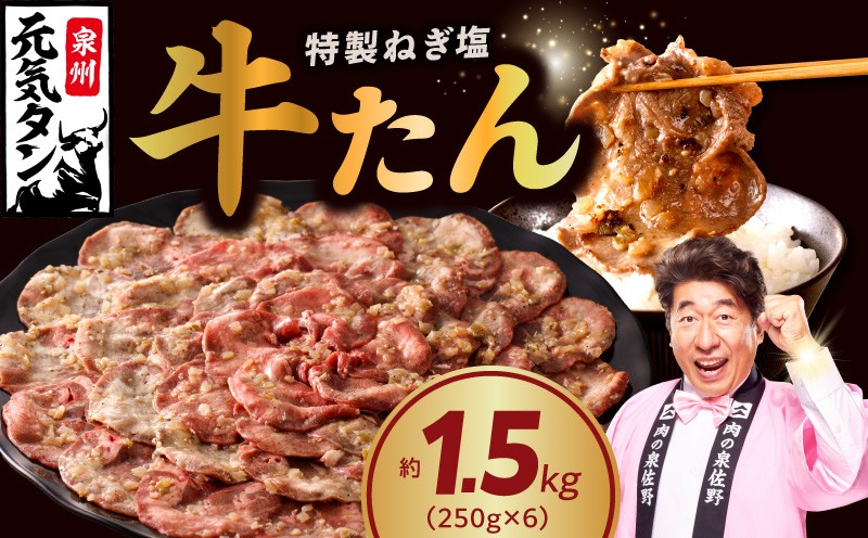 
                  ねぎ塩 牛たん 1.5kg 小分け 250g×6【小分け 250g×6P 牛タン 牛肉 焼肉 BBQ 薄切り ぎゅうたん スライス 訳あり サイズ不揃い 】
                