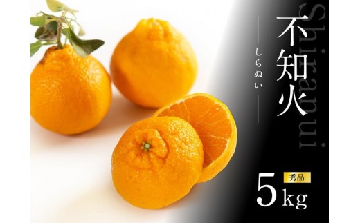 不知火 約5kg 15～24玉入り 《赤秀》 和歌山県産 農園直送 まごころ産直みかん 【北海道・沖縄県・一部離島 配送不可】 みかん 果物 柑橘 しらぬい デコポンと同じ品種 でこぽん ［Mg53］