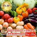 【ふるさと納税】特選！農薬不使用グルメ野菜セット【旬のお野菜や果物を6品～10品】＜農業公園ぽんぽこ村＞ ふるさと納税 野菜 野菜セット 千葉県 木更津 送料無料 KAT001