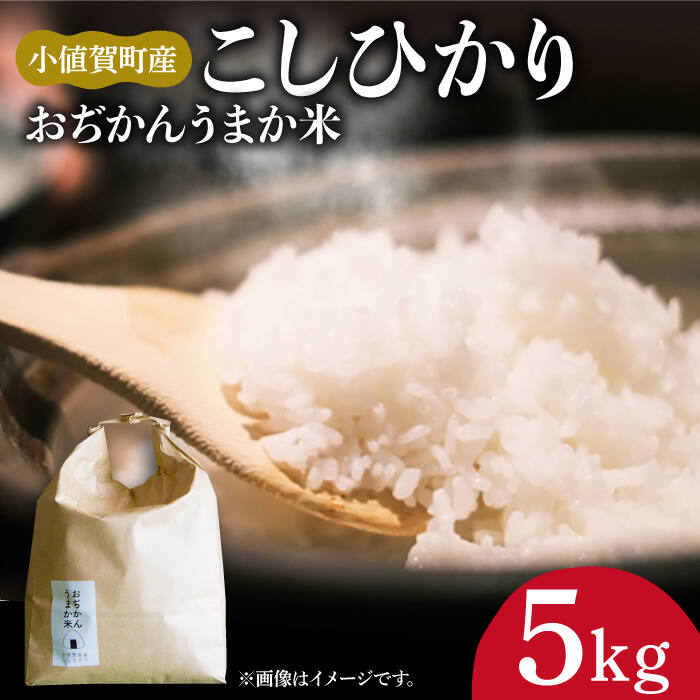 【ふるさと納税】【令和7年度産新米】【5kg】 米 お米 おぢかんうまか米（小値賀町産こしひかり 5kg ・精白米） [DAB014] 長崎 五島列島 小値賀 国産 コシヒカリ こしひかり 米 お米 白米 ご飯 精米 お弁当 常温
