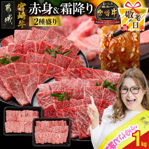 【敬老の日】宮崎牛焼肉2種セット500g×2パック≪9月11日～15日お届け≫_17-N202-KG