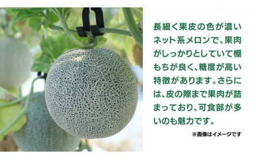 《 先行予約 》茨城県産 タカミ メロン 3L 4玉 ( 約 4.5kg ) 【 2026年6月中旬発送開始 】タカミメロン たかみメロン 果物 フルーツ 青肉 めろん 大玉 3Lサイズ 期間限定 旬 国産 貴味メロン