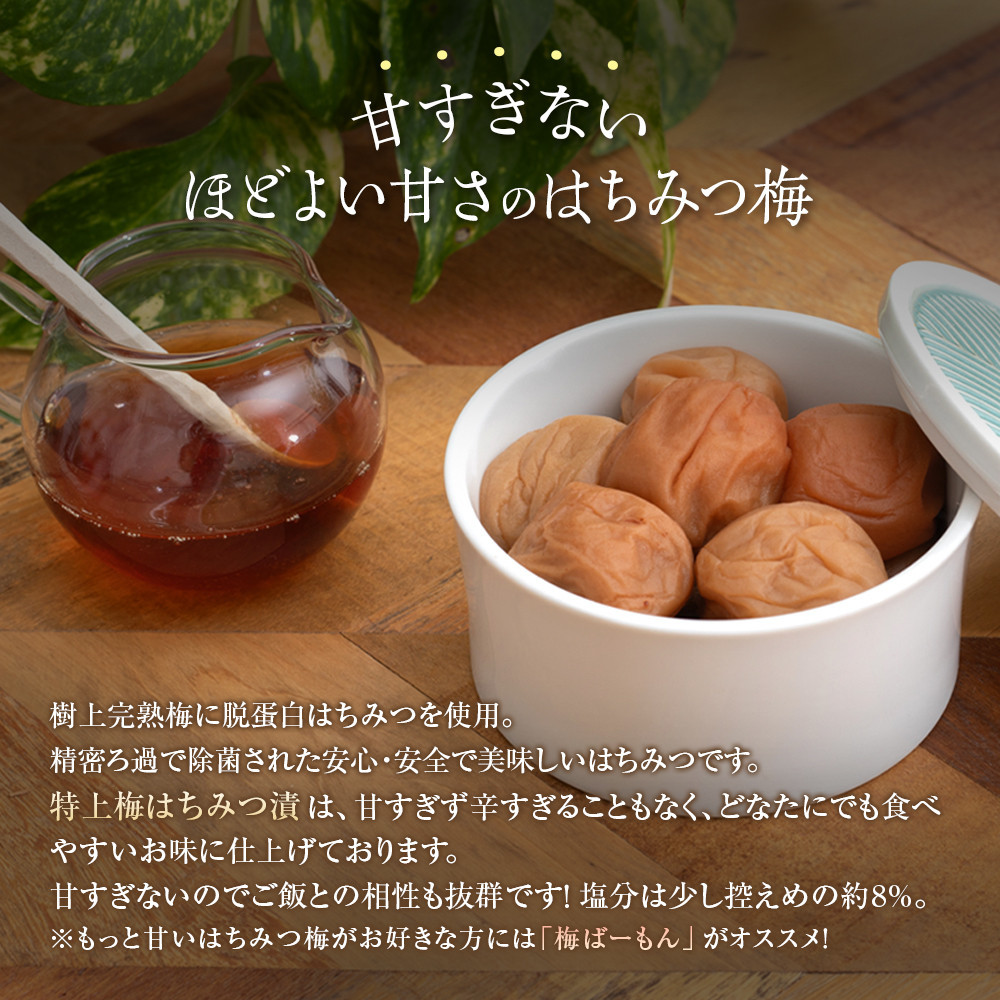 紀州南高梅 はちみつ梅 850g×1箱 ［Kn2］