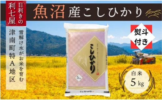 無地熨斗付き【令和8年産】【魚沼産コシヒカリ 白米5kg】雪解け水がお米を育む、津南町特A地区の美味しいお米。| 新潟産コシヒカリ 新潟県産コシヒカリ 魚沼産こしひかり 米 お米 こしひかり 白米 精米 ブランド米 新潟県 津南町 中島利七